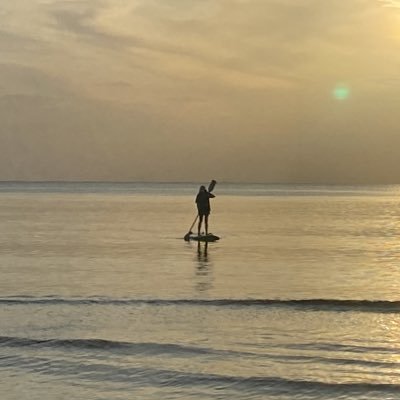 yokptsr's profile image