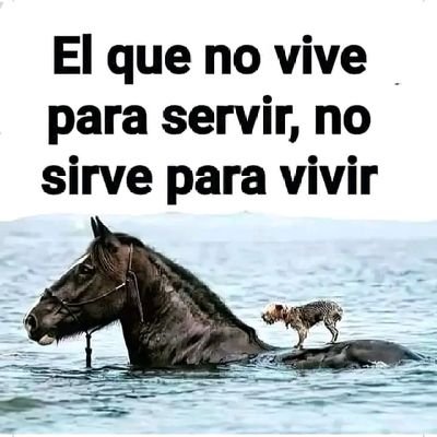 folladorcalixxx's profile picture. swinger 100x100