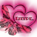 13dutch_nl (@13dutch_nl) Twitter