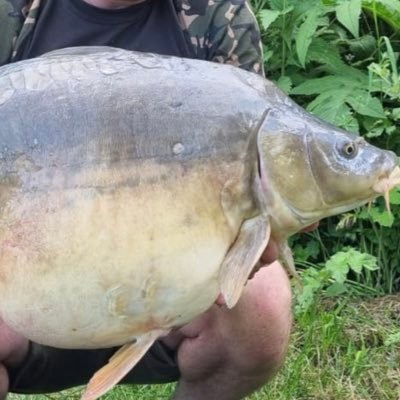 Love carp fishing and fpl