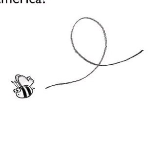 bzzz ♡🐝