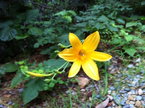 jinsilzang's profile picture. 경남. 창원. 봉림산. 웅남. 김두관. 자치분권. 경남정보사회연구소. 페놀대책. 마창공추협. 환경운동. 열린우리당. 창원시장 후보. 참여정부. 노무현재단. 청와대. 사회정책. 주민통합서비스. 작은도서관. 정책보좌관. 도지사 정무보좌관. 전대협동우회. 장유.