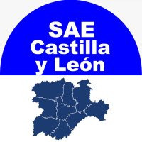 SAE_CastillayLeon(@SAE_CyL) 's Twitter Profile Photo
