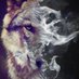 Soheil (@soli_nft) Twitter profile photo Soheil (@soli_nft) Twitter profile photo