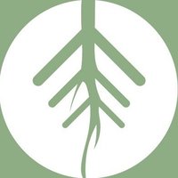 ごぼうの党【公式】 (@gobonotojp) 's Twitter Profile Photo