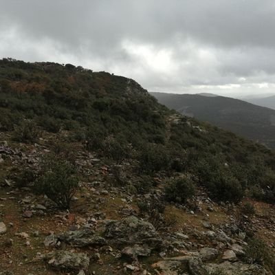 DavidFEspadas's profile picture. 