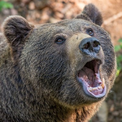 車中泊が大好きで、北海道の色々な事を現地調査して動画を作成しています。
美味しい物や珍しい場所を探しに行ったり、、事件や廃墟等を探索したりと、
色々な事に挑戦中！
よかったらチャンネル登録お願いします＾＾