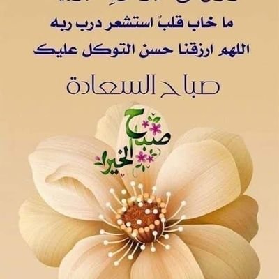 Adams27510058's profile picture. 