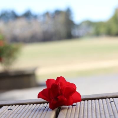 RangaBanga_'s profile picture. 