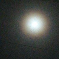 ضوء القمر (@larreen2000) 's Twitter Profile