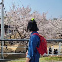 ashley j chong | 정진경 (@ashtree39) 's Twitter Profile