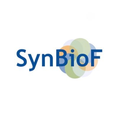 SynBioF_COBRA's profile picture. Equipe de Synthèse de Biomolécules Fluorées | Team of Synthesis of Fluorinated Biomolecules | Laboratoire COBRA | UMR 6014