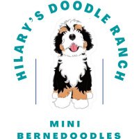 Hilary’s Doodle Ranch(@HilaryRanch) 's Twitter Profile Photo