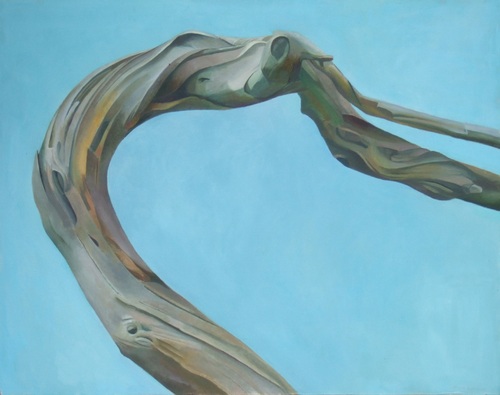 JuliaSorrell's profile picture. Artist drawing and painting wonderful and surreal natural forms using them as a vehicle to express my emotions.