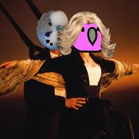 CEO jack (@ceojack__jack) 's Twitter Profile