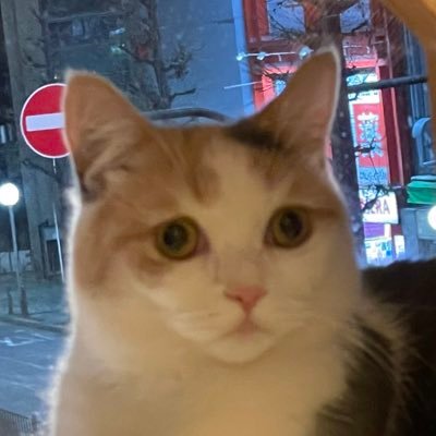 hide_obata's profile picture. こんにちわ。DMは無視します😀