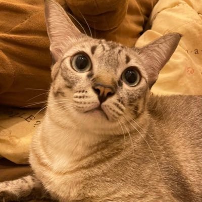 CBCharlotteB's profile picture. 