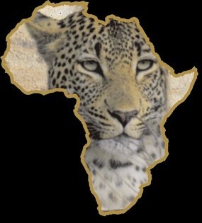 EchoAfricaST's profile picture. We are the largest Safari Operator to specialise in Day Tours into the world renowned Kruger National Park. We offer Full Day  and Half Day Game Drives.