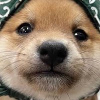 HIDE-082 (@jphide3) 's Twitter Profile