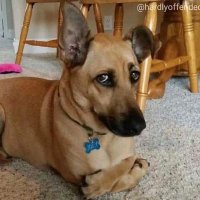 Mapee (@_iammpho) 's Twitter Profile