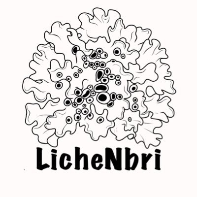LicheNbri