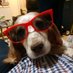 Harry Rice (@harryandrewrice) Twitter profile photo Harry Rice (@harryandrewrice) Twitter profile photo