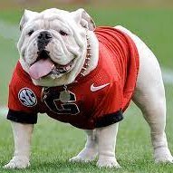 Retired Banker/Financial Services. Diehard UGA Fan.
Have my own Opinions.