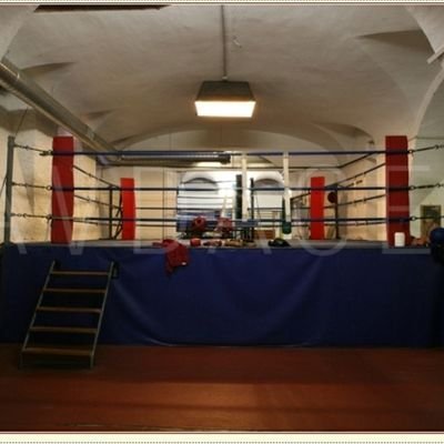 ring_1960's profile picture. Sono stato "calpestato" durante le Olimpiadi del 1960 a Roma da Cassius Clay e Nino Benvenuti, entrambi oro.