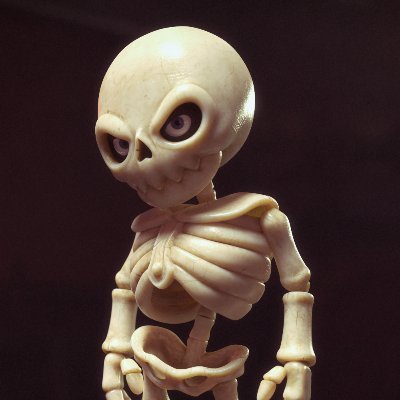 sandroroque664's profile picture. 