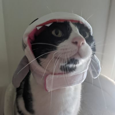 Incognito_Tori's profile picture. #Hashtag