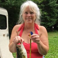 🇺🇸🌊 Debbie in Wisconsin 🌊🇺🇸 🌻🐦🕊️(@Debbie_in_WI) 's Twitter Profile Photo