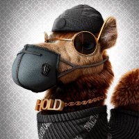 EVOLV3D CAMELS(@EvolvedCamels) 's Twitter Profileg