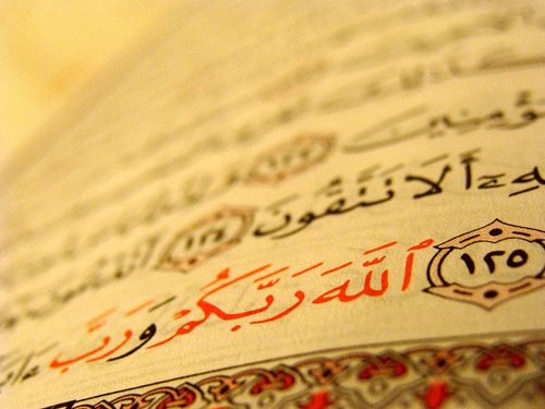 MuhammadRefaat's profile picture. Teaching Assistant - 
Department of Electronics and Electrical Communication - 
Cairo University