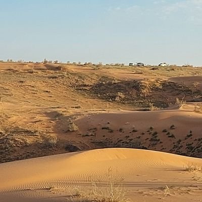 slyman_almbark's profile picture. 