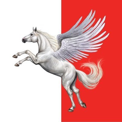 PluralsSocial's profile picture. Official handle of @pluralsbharat & @Officeplurals Social Media Cell