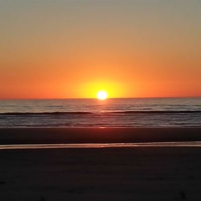 Rushsway's profile picture. Proud American 🇺🇸 Proud Trump supporter.