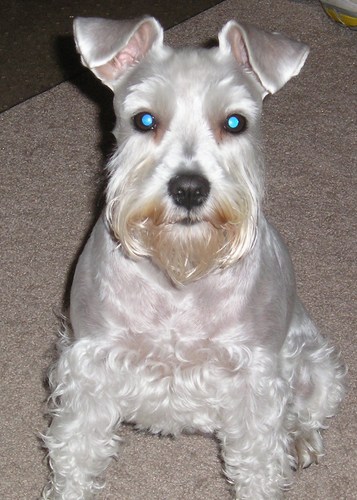 Justjb2's profile picture. 