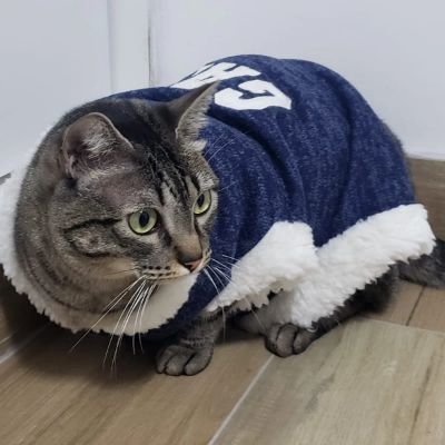 manuelld1507's profile picture. Maldito Twitter, me cerró la otra cuenta tmr