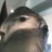 eronyasu's profile image