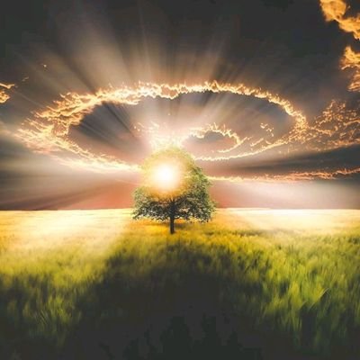 JIssoso's profile picture. Mystère pour ton Salut 😏