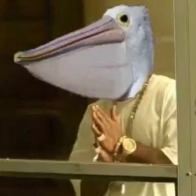 HotPelicans's profile picture. Pelicans fan since ‘07 bringing you the most 🔥 pelicans takes in all the land. #LetsDance