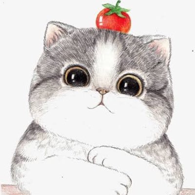 にゃん厨📛さんのプロフィール画像