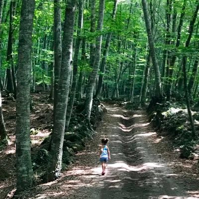 AlbaPower14's profile picture. Alba 7a MPS VI Luchadora incansable