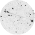 Franck J (@franckjjj) Twitter profile photo Franck J (@franckjjj) Twitter profile photo