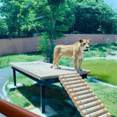 namutenr's profile picture. 30代 / 8才男の子 4才女の子 2才女の子 / 同居嫁 / 7w3d〜8w6d 妊娠悪阻で入院38w4d帝王切開で出産 / 心を保つためにマタ垢つくりました→ママ垢へ / 無言フォロー失礼します/ママ垢ルールわかってないので失礼があったらごめんなさい