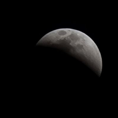 armandkurti1's profile picture. 