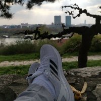 BottomSrb (@bottomsrb) 's Twitter Profile