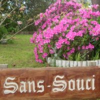 Martha Gloria Defilippi (@sansmartha) 's Twitter Profile