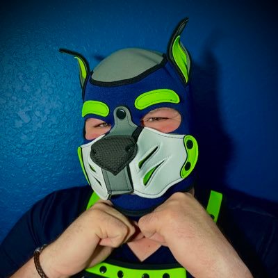 PupParzival's profile picture. 🎵If you’re kinky and you know clap your🎵…oh wait they’re tied up 😈  Central Florida pup. DemiPan and open. DMs open. Let’s talk and see what happens!