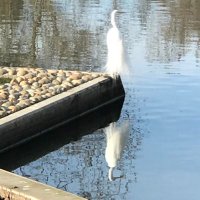JustMe_M (@justthismm) 's Twitter Profile